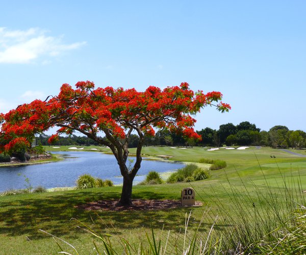 Photo of The Glades Golf Club