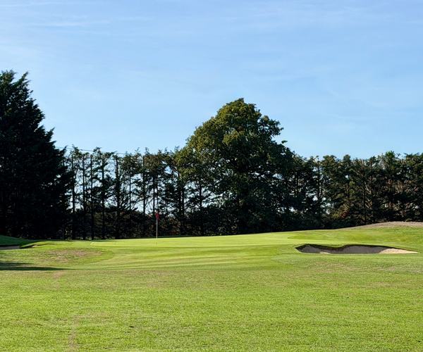 Photo of Burhill Golf Club (New course)