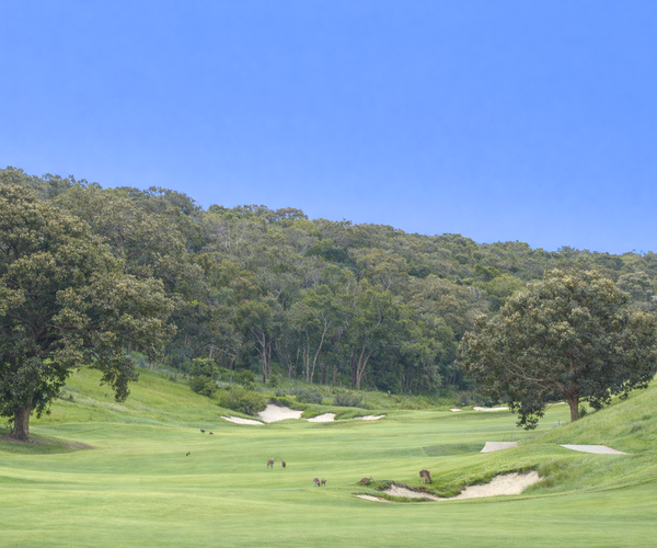 Photo of Heritage Golf & Country Club (Henley course)