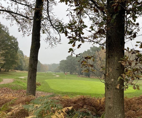 Photo of Royal Ashdown Forest Golf Club
