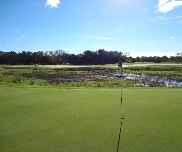 Photo of The Links at Hiawatha Landing
