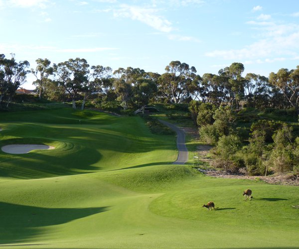 Photo of Joondalup Resort