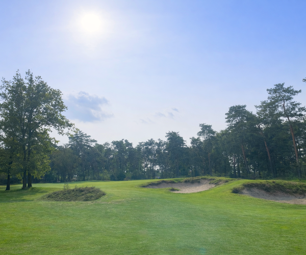 Photo of Golfbaan de Swinkelsche