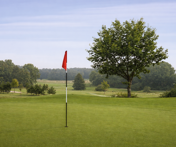 Photo of Forsgårdens Golfklubb