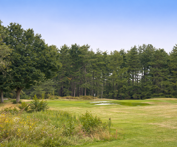 Photo of Frilford Heath Golf Club (Blue course)