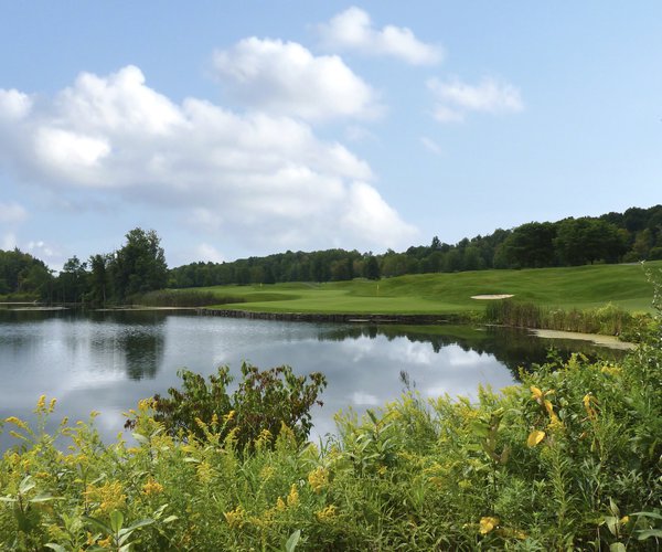 Photo of Greystone Golf Club