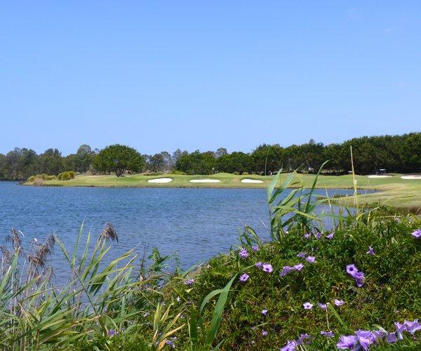 Photo of Links Hope Island