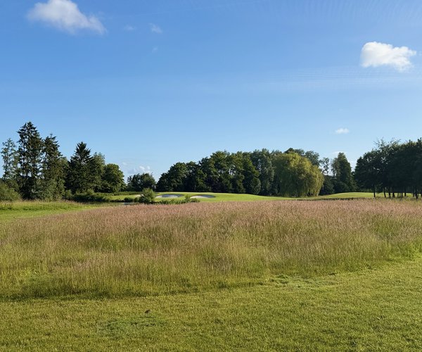 Photo of Hulencourt