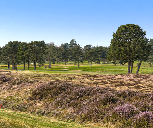 Photo of Moortown Golf Club