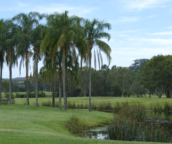 Photo of Palm Meadows Golf Course