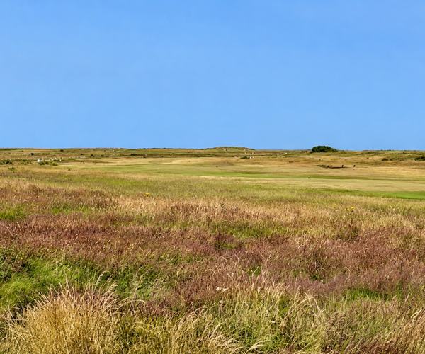 Photo of Newbiggin Golf Club