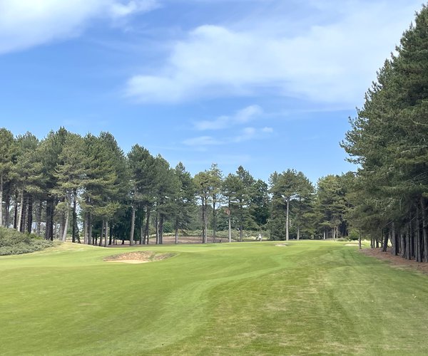 Photo of Archerfield (Fidra Links)