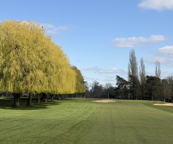 Photo of Calcot Park Golf Club