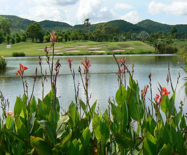 Photo of St Andrews 2000 Golf Club