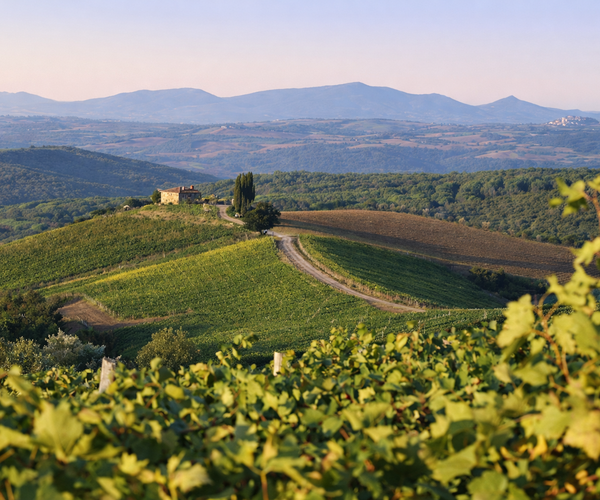 Photo of Castiglion del Bosco Golf Club