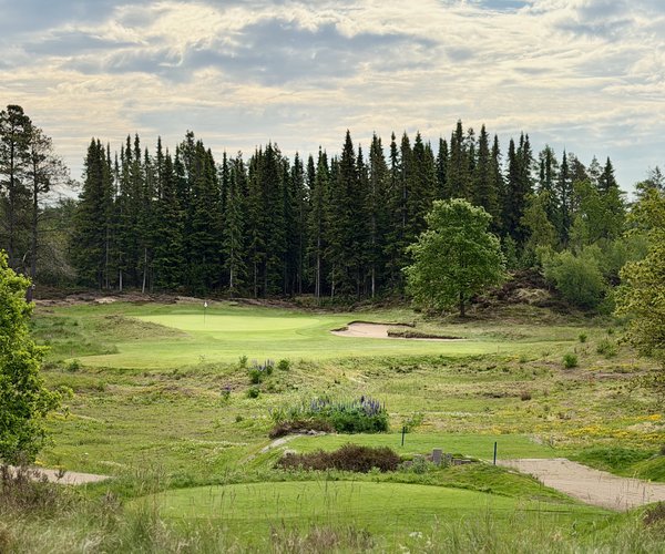 Photo of Holstebro Golfklub (Skovbanen/Forest course).