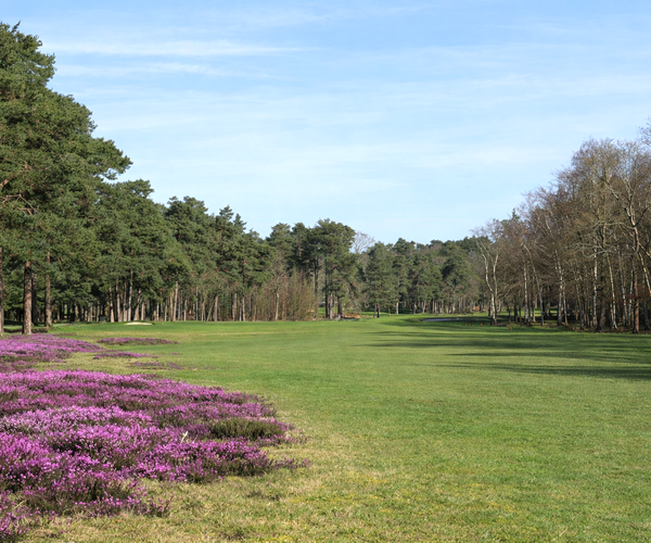 Photo of Army Golf Club