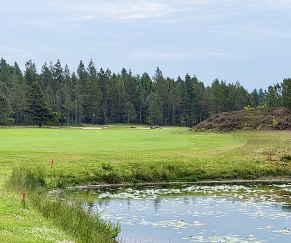 Photo of Holstebro Golfklub (Skovbanen/Forest course).