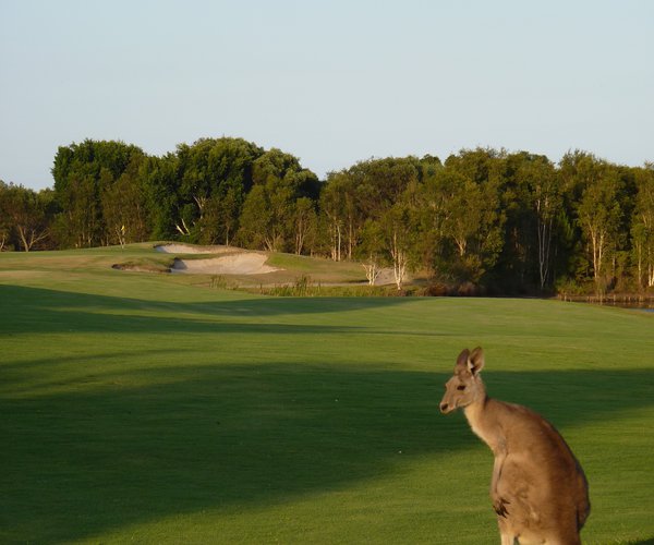 Photo of Pelican Waters Golf Club