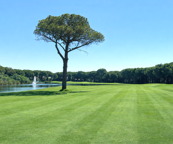 Photo of The Montgomerie Maxx Royal