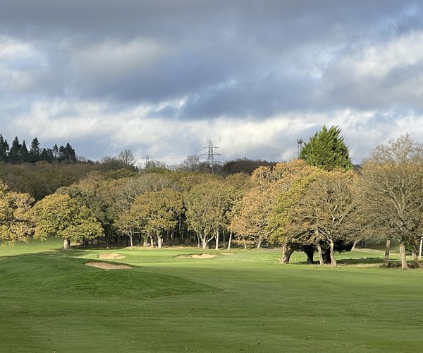 Photo of The Leatherhead Club