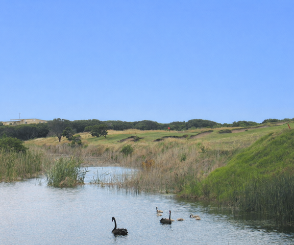 Photo of Thirteenth Beach Golf Links (Beach course)