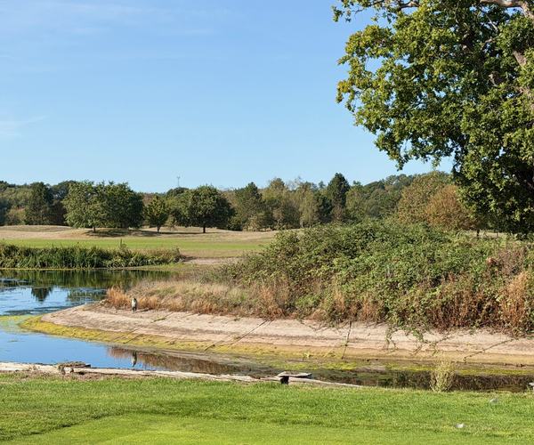 Photo of Burhill Golf Club (New course)