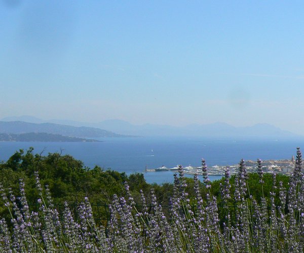 Photo of Golf Club Saint-Tropez