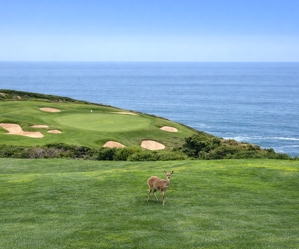 Photo of Pinnacle Point Beach & Golf Resort
