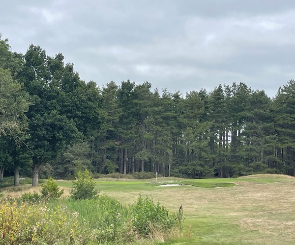 Photo of Frilford Heath Golf Club (Blue course)