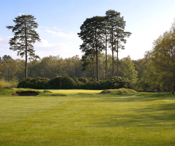 Photo of Woodhall Spa Golf Club (Hotchkin course)