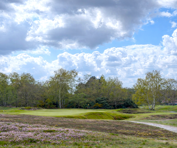 Photo of Woodhall Spa Golf Club (Hotchkin course)