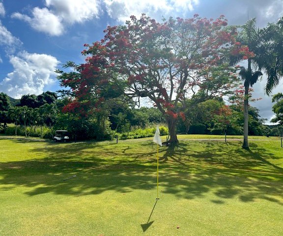 Photo of Carambola Golf Club