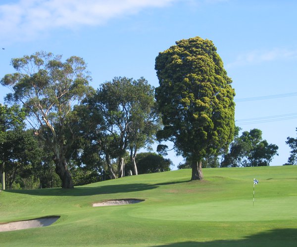 Photo of Newcastle Golf Club