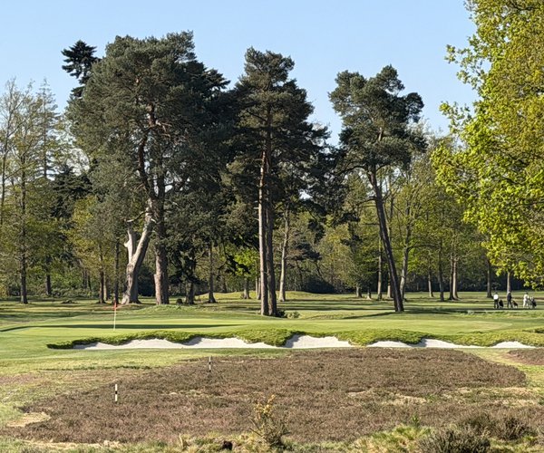 Photo of North Hants Golf Club