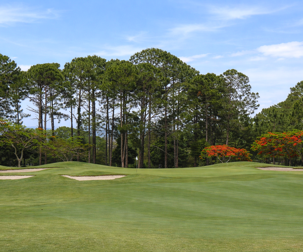 Photo of Sanctuary Cove Golf & Country Club (Pines course)
