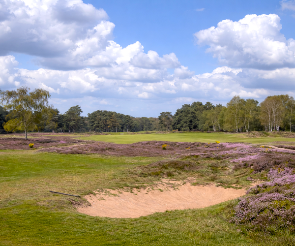 Photo of Woodhall Spa Golf Club (Hotchkin course)