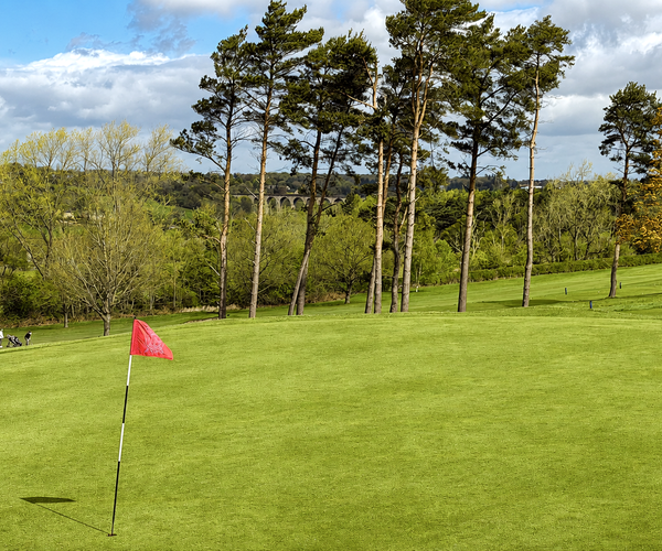 Photo of Pannal Golf Club