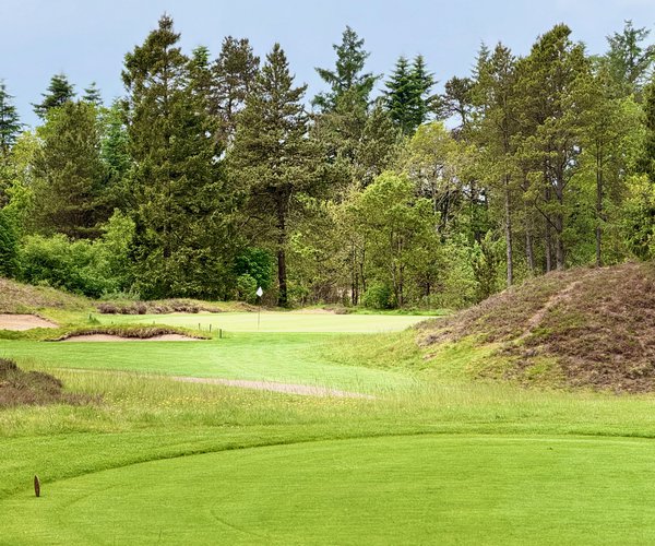 Photo of Holstebro Golfklub (Skovbanen/Forest course).