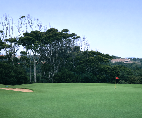 Photo of East London Golf Club