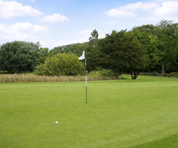 Photo of Vasatorps Golfklubb (Tournament course)
