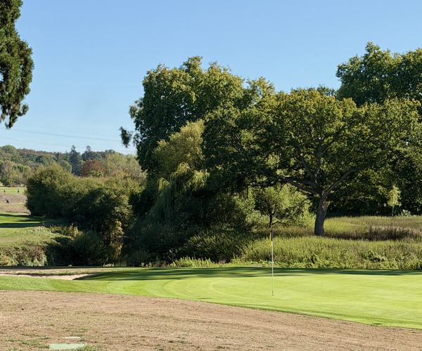 Photo of Burhill Golf Club (New course)