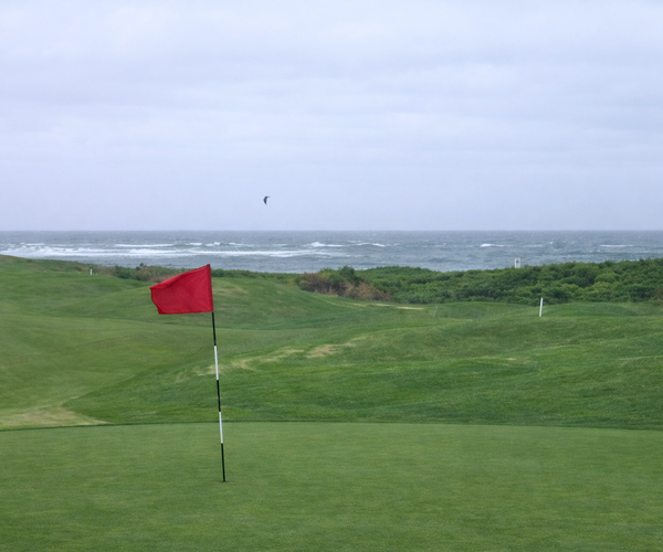 Photo of Long Reef Golf Club