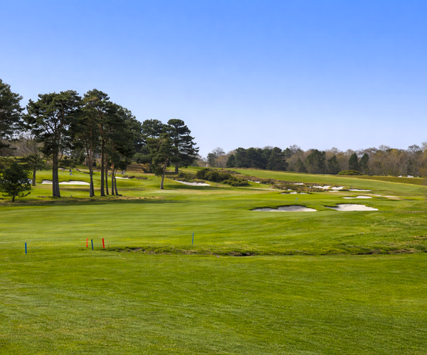 Photo of Moortown Golf Club