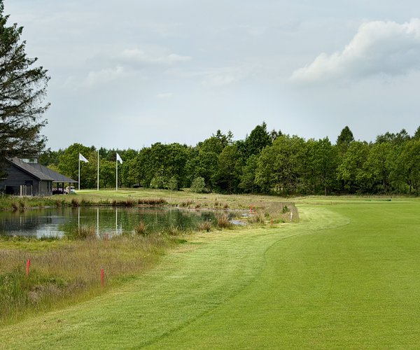 Photo of Holstebro Golfklub (Skovbanen/Forest course).