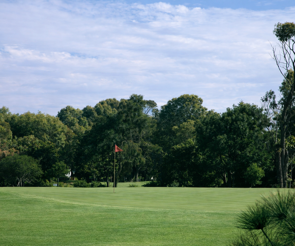 Photo of Royal Cape Golf Club