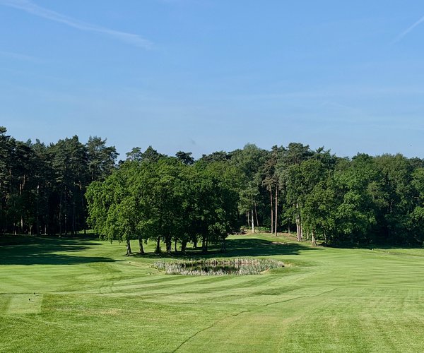 Photo of Club zur Vahr (Garlstedt course)