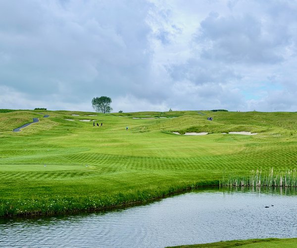 Photo of Great Northern