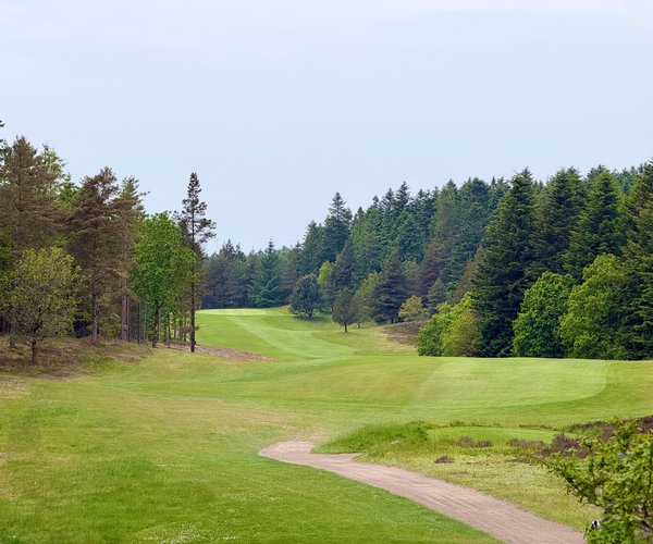 Photo of Holstebro Golfklub (Skovbanen/Forest course).