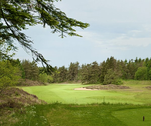 Photo of Holstebro Golfklub (Skovbanen/Forest course).